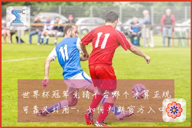 世界杯冠军竞猜平台哪个才算正规可靠又好用-，如何判断官方入口和避免被骗