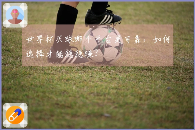世界杯买球哪个平台更可靠，如何选择才能稳稳赚？