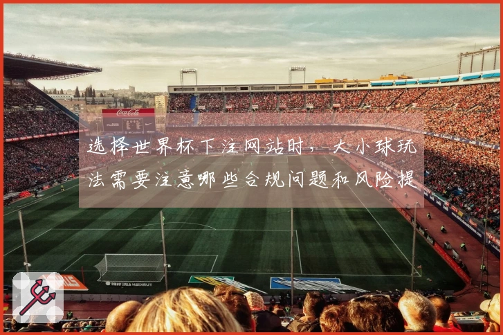 选择世界杯下注网站时，大小球玩法需要注意哪些合规问题和风险提示