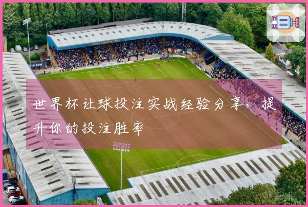 世界杯让球投注实战经验分享，提升你的投注胜率