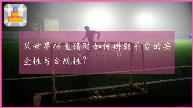 买世界杯竞猜时如何辨别平台的安全性与合规性？