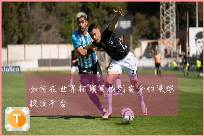如何在世界杯期间找到安全的滚球投注平台