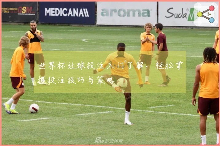 世界杯让球投注入门了解，轻松掌握投注技巧与策略