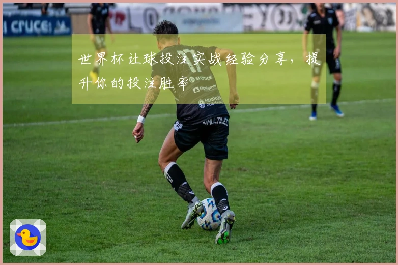 世界杯让球投注实战经验分享，提升你的投注胜率