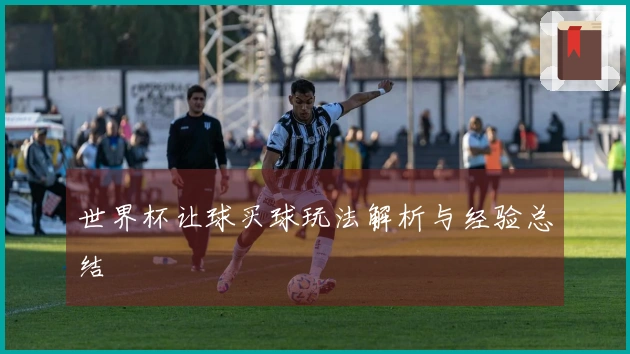 世界杯让球买球玩法解析与经验总结