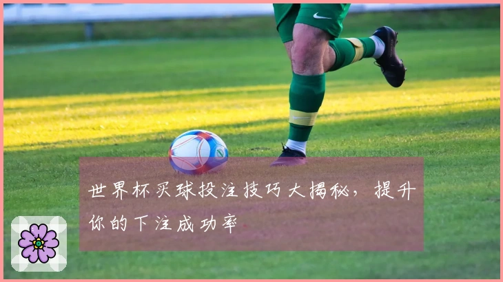 世界杯买球投注技巧大揭秘，提升你的下注成功率