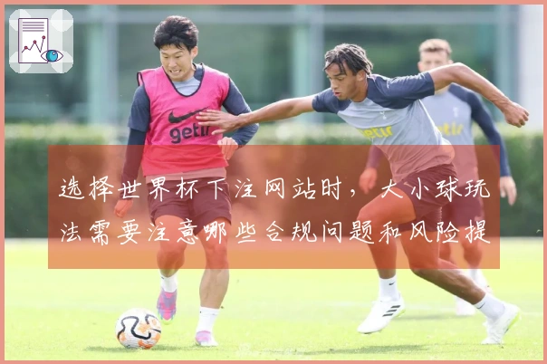 选择世界杯下注网站时，大小球玩法需要注意哪些合规问题和风险提示