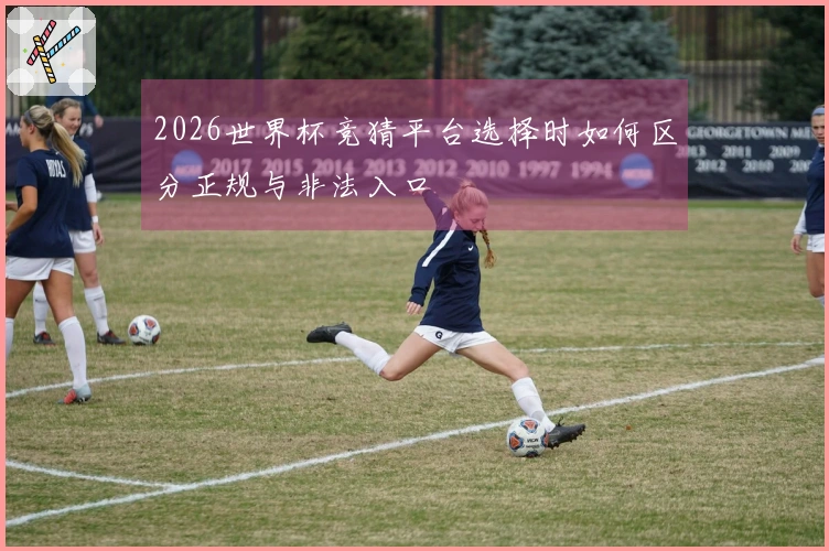 2026世界杯竞猜平台选择时如何区分正规与非法入口