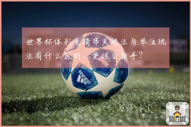 世界杯体彩竞猜串关玩法与单注玩法有什么区别，更适合新手？