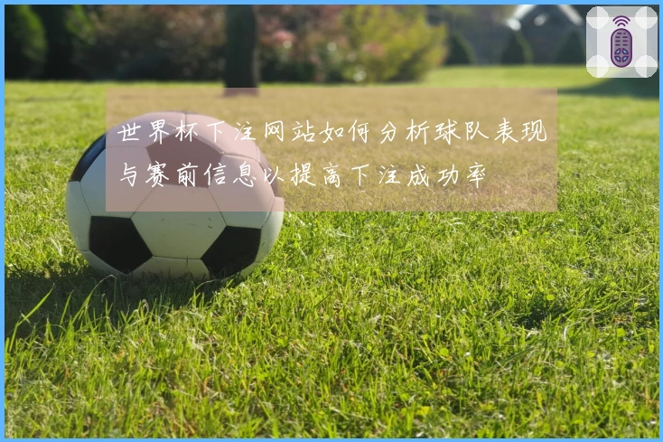 世界杯下注网站如何分析球队表现与赛前信息以提高下注成功率