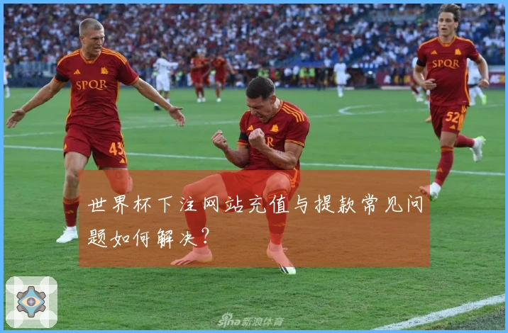世界杯下注网站充值与提款常见问题如何解决？