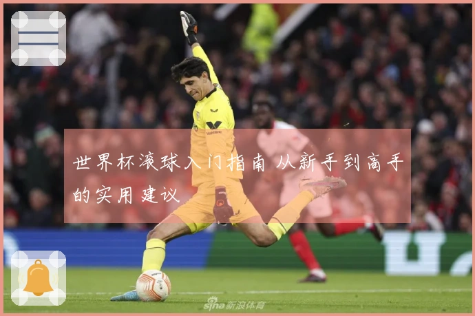 世界杯滚球入门指南 从新手到高手的实用建议