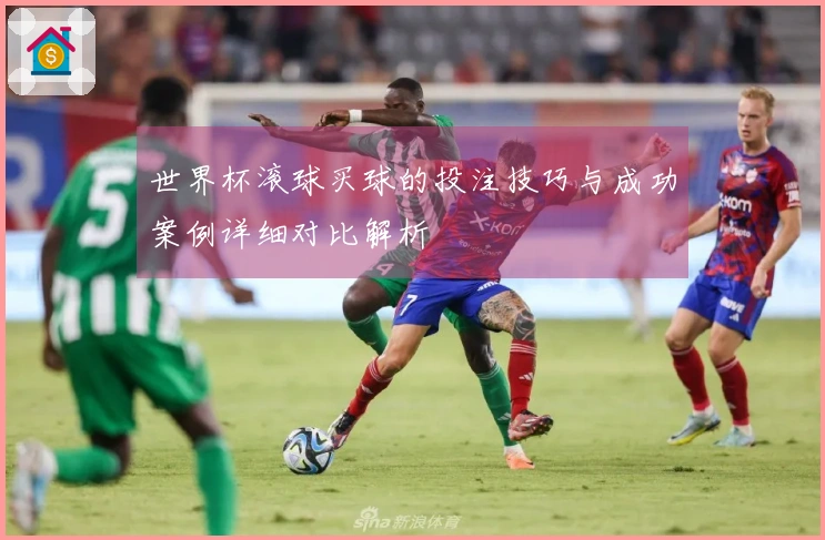 世界杯滚球买球的投注技巧与成功案例详细对比解析