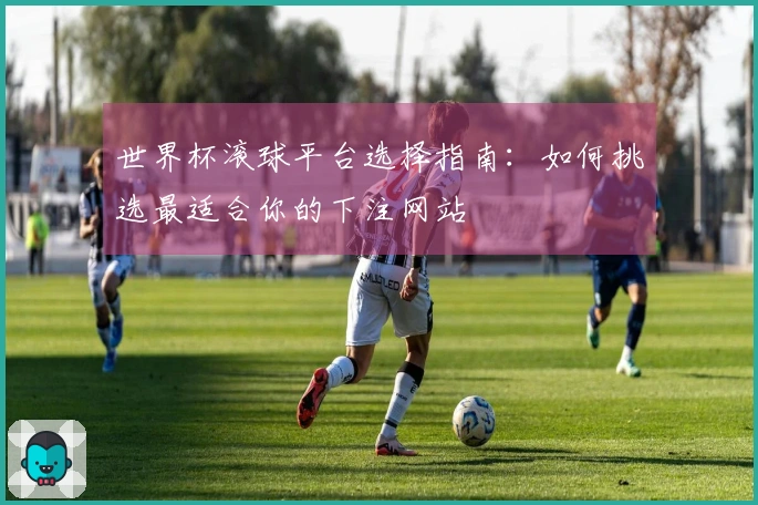 世界杯滚球平台选择指南：如何挑选最适合你的下注网站