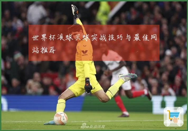 世界杯滚球买球实战技巧与最佳网站推荐