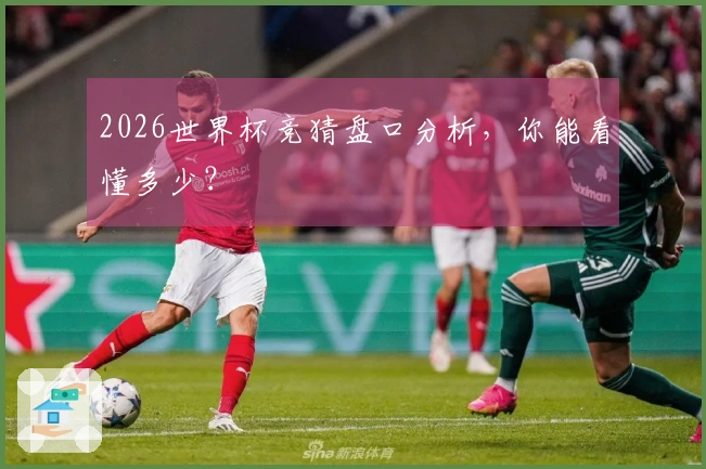 2026世界杯竞猜盘口分析，你能看懂多少？