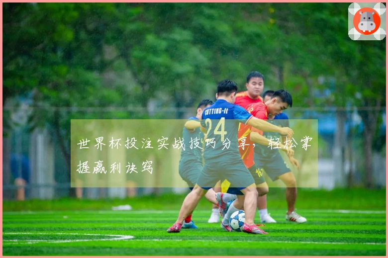 世界杯投注实战技巧分享,轻松掌握赢利诀窍