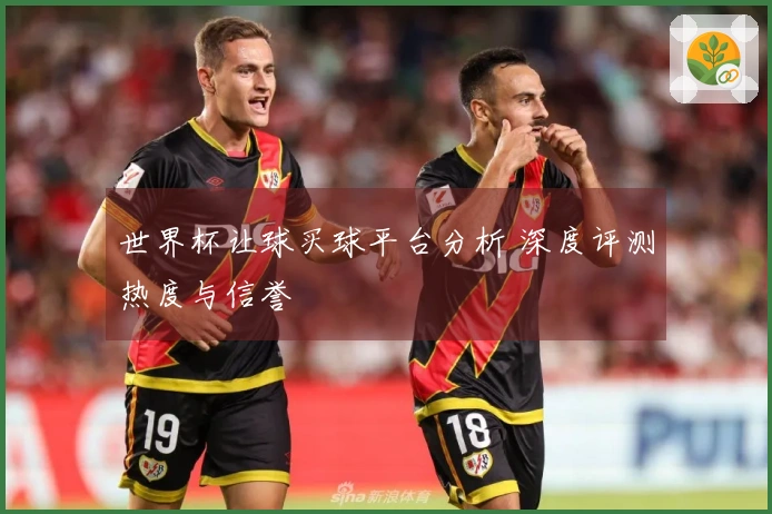 世界杯让球买球平台分析 深度评测热度与信誉