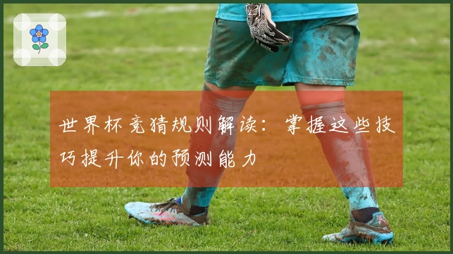 世界杯竞猜规则解读:掌握这些技巧提升你的预测能力