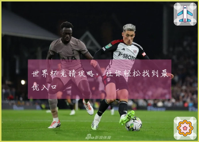 世界杯竞猜攻略，让你轻松找到最优入口