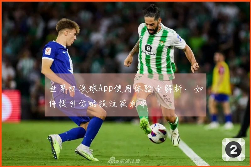 世界杯滚球App使用体验全解析，如何提升你的投注获利率