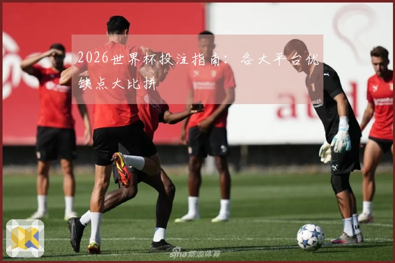2026世界杯投注指南：各大平台优缺点大比拼