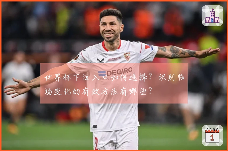世界杯下注入口如何选择？识别临场变化的有效方法有哪些？