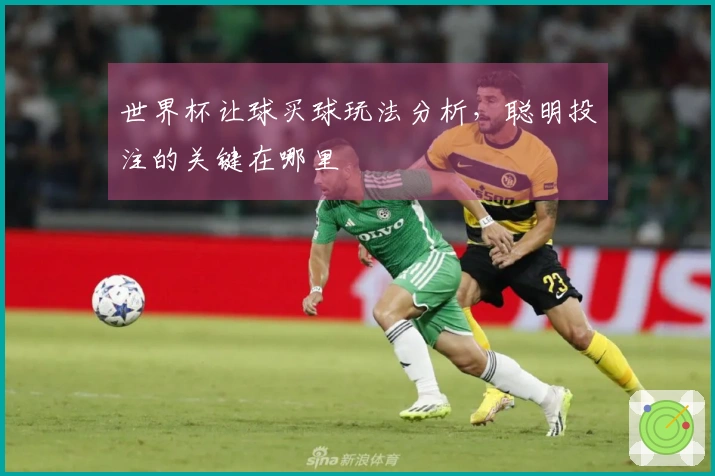 世界杯让球买球玩法分析,聪明投注的关键在哪里